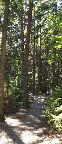 Pond Trail (photo by Webmaster)