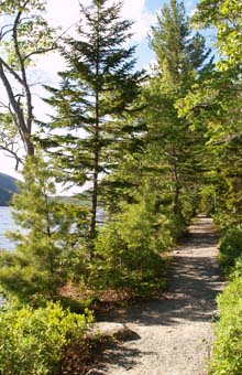 Jordan Pond Trail (photo by Webmaster)