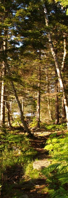 Eagle Lake Trail (photo by Webmaster)