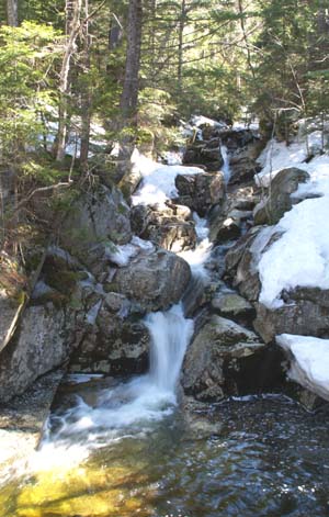 View of the cascades on Gibbs Brook, taken from the footbridge (photo by Webmaster)