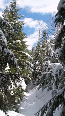 Crawford Path (photo by Webmaster)