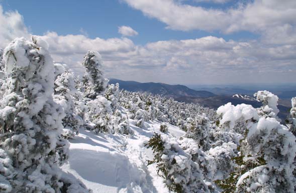 View of scrub-covered Mt. Pierce from Crawford Path with mountains and Bretton Woods downhill ski area in the distance (photo by Webmaster)