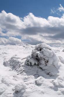 Snow-covered cairn on Webster Cliff Trail on the approach to the Mt. Piece summit (photo by Webmaster)
