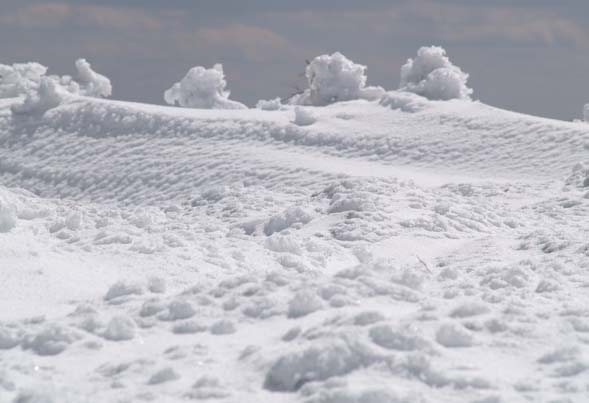 View of Mount Pierce's open ledges near the summit (photo by Webmaster)