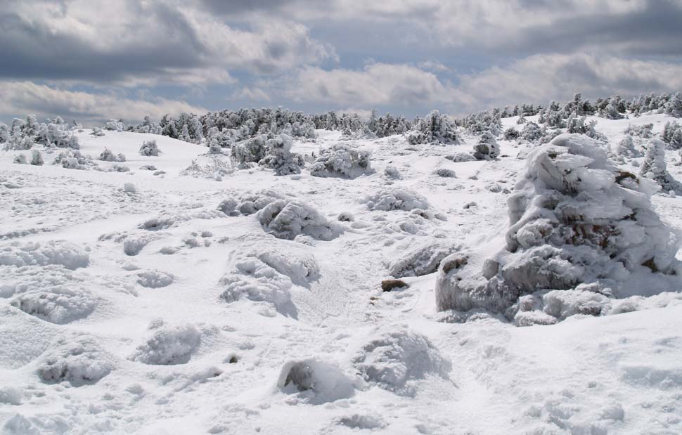 View of the ledges below Mt. Pierce's summit taken from Webster Cliff Trail (photo by Webmaster)