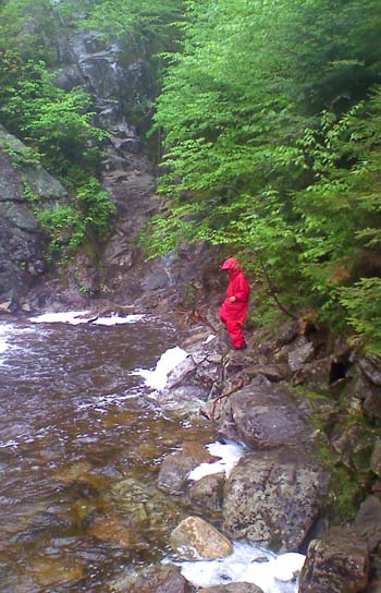 Gibbs Brook (photo by Bill Mahony)