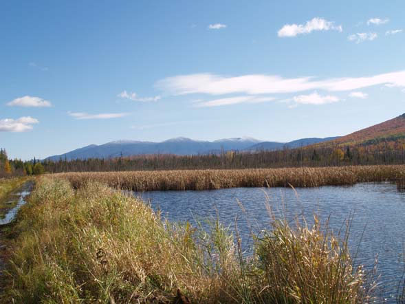 The Presidential Mountain Range from the Presidential Range Rail Trail (photo by Webmaster)