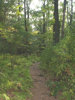 Orange Trail (photo by Webmaster)