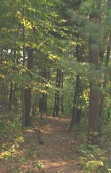 Orange Trail (photo by Webmaster)