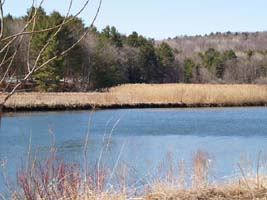 Ottauquechee River, upstream from the dam (photo by Webmaster)