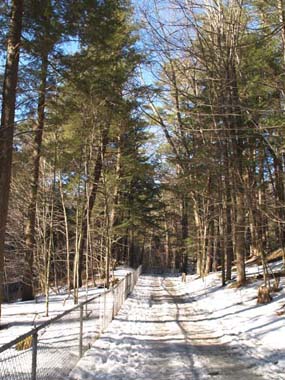 Quechee Gorge Trail (photo by Webmaster)