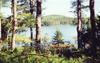 Round Pond (photo by Webmaster)