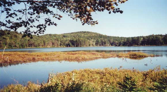 Round Pond (photo by Webmaster)