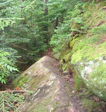 Trail to Royce (photo by Mark Malnati)