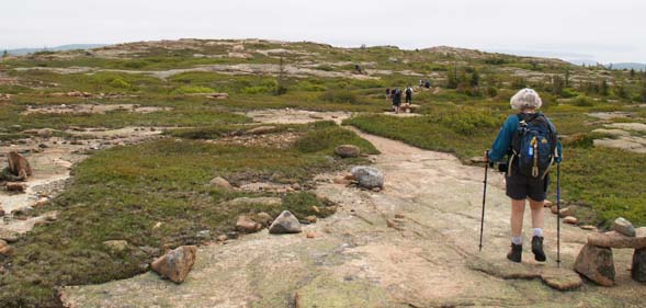 The "yellow-brick road" on Sargent Mountain South Ridge Trail (photo by Webmaster)