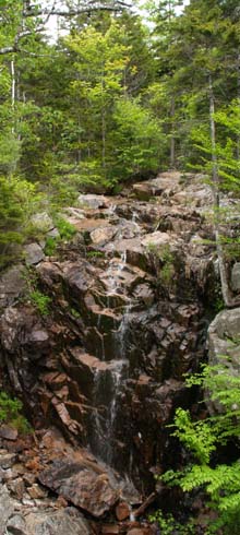 Hadlock Brook Waterfall (photo by Webmaster)