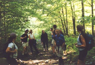 On the trail (photo by Sal Silvestre)