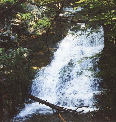 Cascades on Fields Brook (photo by Sal Silvestre)