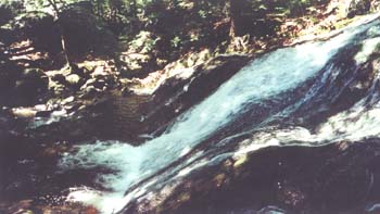 Water slide on Fields Brook (photo by Webmaster)