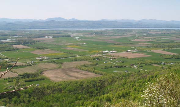 Views of the Champlain Valley from Snake Mountain's summit (photo by Webmaster)