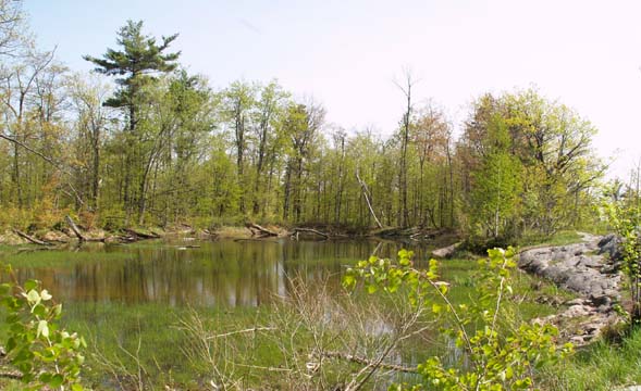 Red Rock Pond (photo by Webmaster)