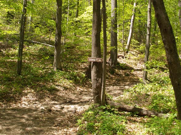 Old carriage trail leading to summit (photo by Webmaster)