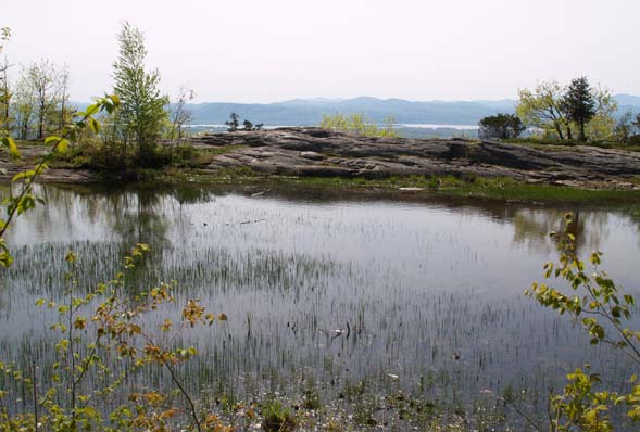 Red Rock Pond and view to the Adirondacks (photo by Webmaster)