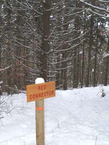End of Red Connector at T-junction with Red Trail (photo by Webmaster)
