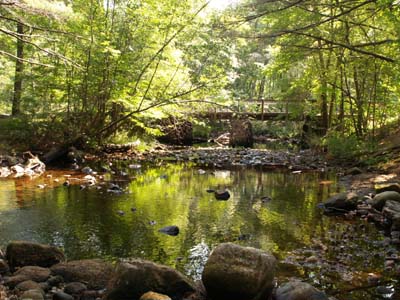 Falls River next to Austin Farm Road (photo by Webmaster)