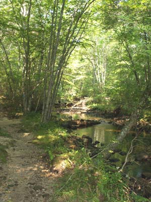 Trail alongside Falls River (photo by Webmaster)