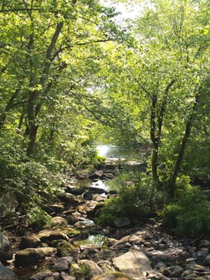 Stepstone Falls hike (photo by Webmaster)