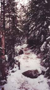 The trail (photo by Webmaster)