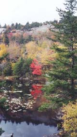 Cliffs over Lake Solitude (photo by webmaster)