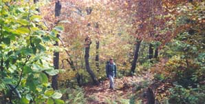 Trail (photo by webmaster)