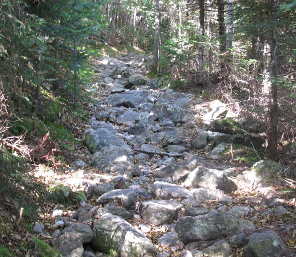 The rocky Mount Tecumseh Trail above the first viewpoint (photo by Karl Searl)