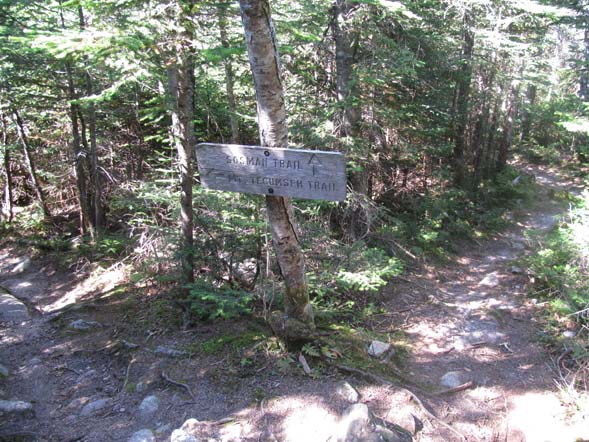 Junction of Mount Tecumseh Trail (left) and Sosman Trail (right) (photo by Karl Searl)