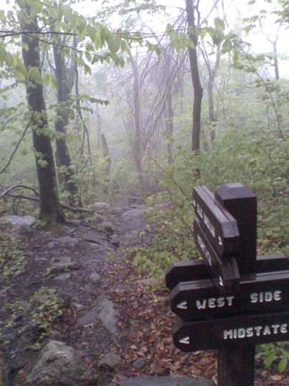 West Side and Old Indian Trails junction (photo by Bill Mahony)