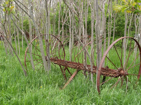 Old farm equipment located next to the upper parking lot (photo by Webmaster)