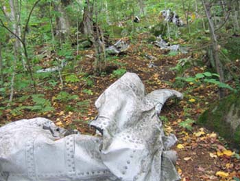 Debris field at plane crash site (photo by Mark Malnati)