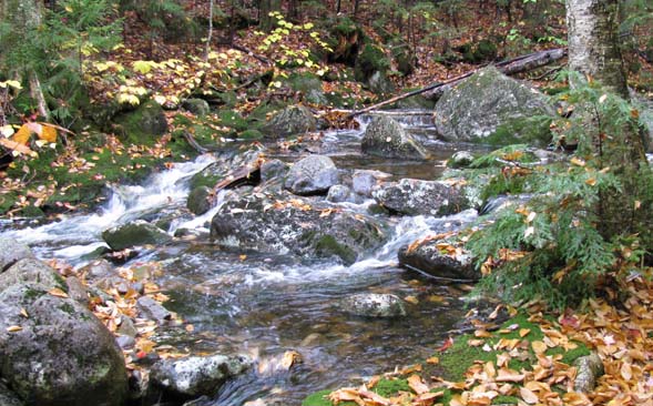 Brook crossing on the B18 Crash Trail (photo by Karl Searl)