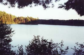 Wachipauka Pond (photo by Webmaster)