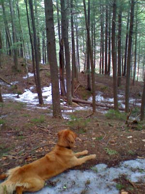 Taking a break near the base of Wonalancet Range Trail (photo by Bill Mahony)