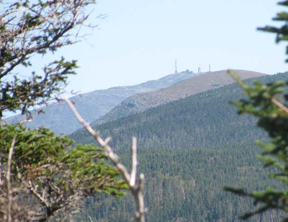 View of Mount Washington (the peak with the summit buildings), taken from the eastern cliffs on Mount Willard (photo by Karl Searl)