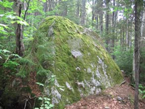 Moss-covered boulder (photo by Dennis Marchand)