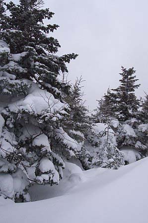Snowdrifts (photo by Rachel Bowles)