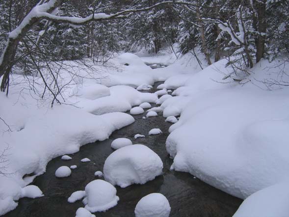 Snow-fluffed brook (photo by Mark Malnati)